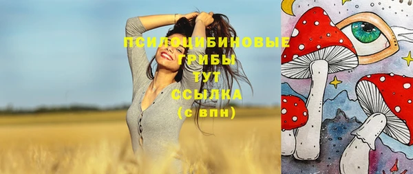 бошки Инсар