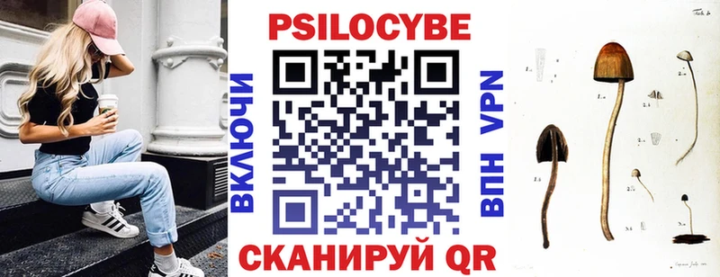 Галлюциногенные грибы Psilocybine cubensis  закладка  Кузнецк 