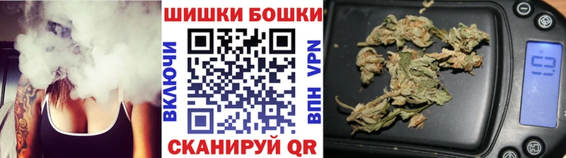 закладка  Кузнецк  Конопля сатива 